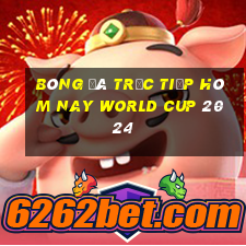 bóng đá trực tiếp hôm nay world cup 2024