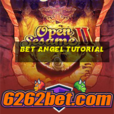 bet angel tutorial