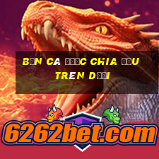 Bắn Cá được chia đều trên dưới