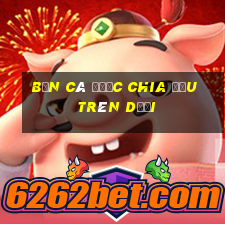 Bắn Cá được chia đều trên dưới