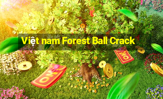 Việt nam Forest Ball Crack