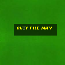 chạy file mkv