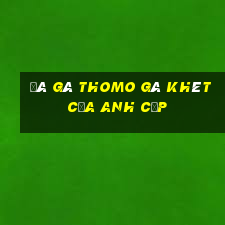 đá gà thomo gà khét của anh cọp