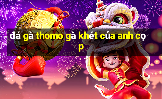 đá gà thomo gà khét của anh cọp