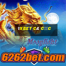 1xbet cá cược