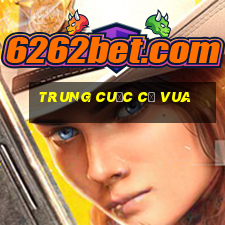 trung cuộc cờ vua