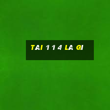 tài 1 1 4 là gì