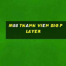 M88 Thành viên Big Player