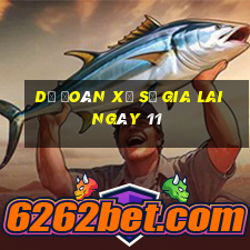 Dự Đoán Xổ Số gia lai ngày 11