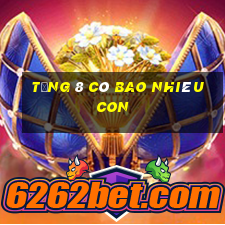 tổng 8 có bao nhiêu con