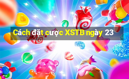 Cách đặt cược XSTB ngày 23