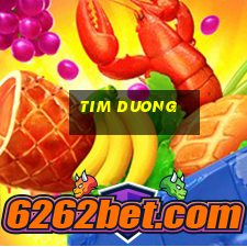 tim duong