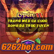 trang web ca cuoc bong da truc tuyen