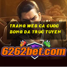 trang web ca cuoc bong da truc tuyen