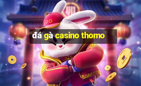 đá gà casino thomo