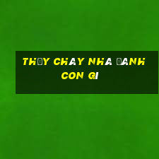 thấy cháy nhà đánh con gì