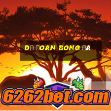 dự đoan bong đá