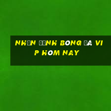 nhận định bóng đá vip hôm nay