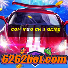 con mèo chơi game