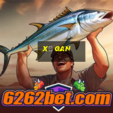 xơ gan