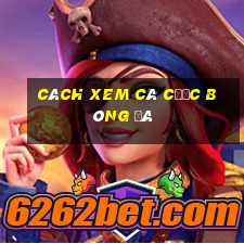 cách xem cá cược bóng đá