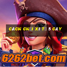 cách chơi xì tố 5 cây