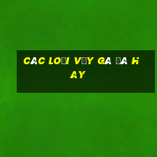 các loại vảy gà đá hay