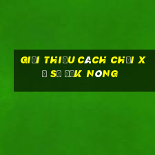 Giới thiệu cách chơi xổ số Đắk Nông