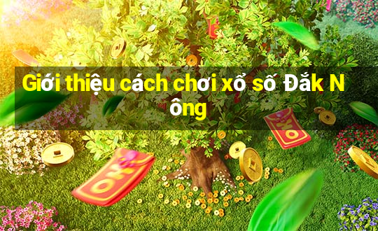 Giới thiệu cách chơi xổ số Đắk Nông