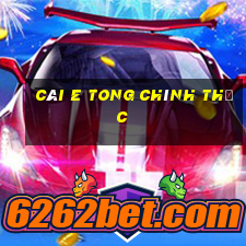 CÁI e TONG CHÍNH THỨC