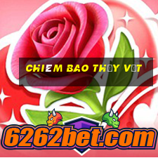 chiêm bao thấy vịt