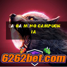 đá gà mạng campuchia