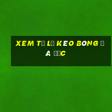 xem tỷ lệ kèo bóng đá đức