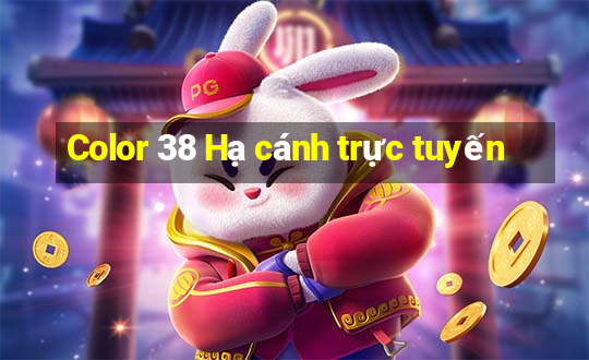 Color 38 Hạ cánh trực tuyến