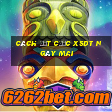 Cách đặt cược XSDT ngày mai