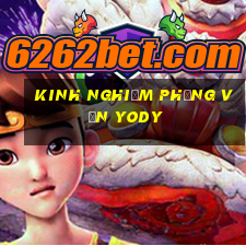 kinh nghiệm phỏng vấn yody