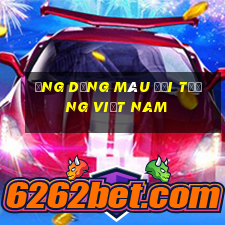 Ứng dụng màu đối tượng việt nam