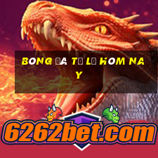 bóng đá tỷ lệ hôm nay