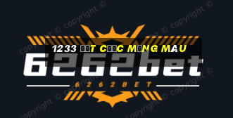 1233 đặt cược mạng màu