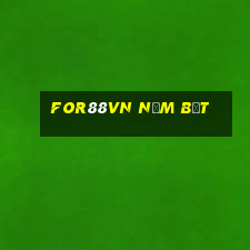 for88vn Nắm bắt