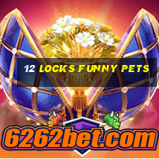 12 locks funny pets