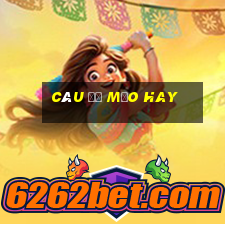 câu đố mẹo hay