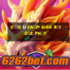 cước ù chắn hoa rơi cửa phật