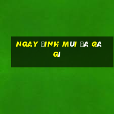 ngay đinh mùi đá gà gì