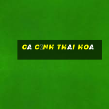 cá cảnh thái hoà