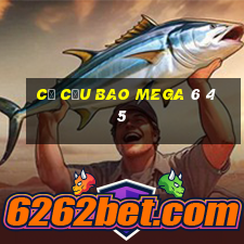 cơ cấu bao mega 6 45