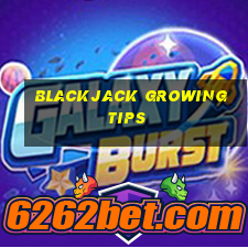 blackjack growing tips