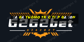 đá gà thomo trực tiếp gà đòn