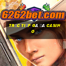 trực tiếp gà đá casino