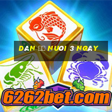 dàn đề nuôi 3 ngày